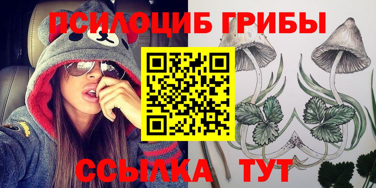 Унеча  Галлюциногенные грибы прущие грибы  хочу   Галлюциногенные грибы MAGIC MUSHROOMS  Вход с VPN 